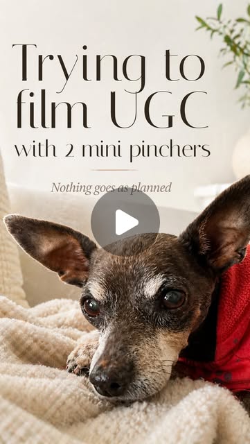 Still from a UGC Reel by Andreia — frame 3